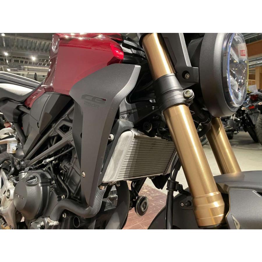 【鑑定車両】CB250R 2019年モデル ABS BMS−Rサイレンサー 【マル得】|bikeo-ds-shopping|11