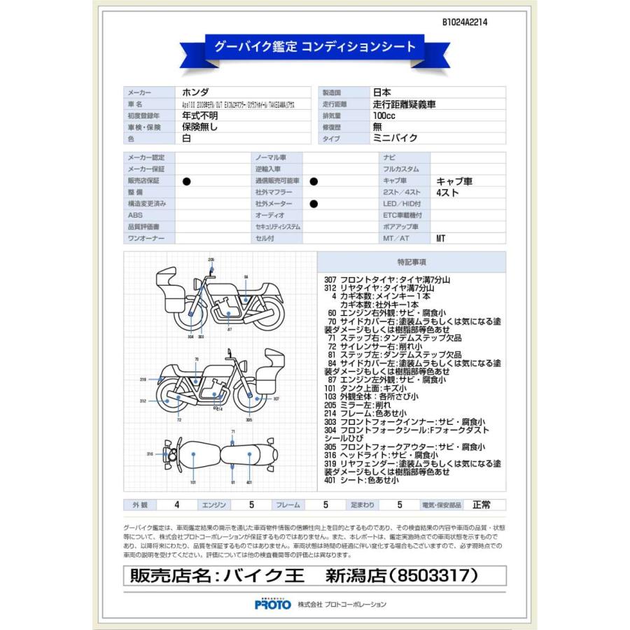 APE 100（エイプ100）　2008年モデル／OUT EXフルエキマフラー／Gクラフトホイール／TAKEGAWAリアサス／OVER RACINGステップ／KIJIMAリアキャリア｜bikeo-ds-shopping｜10