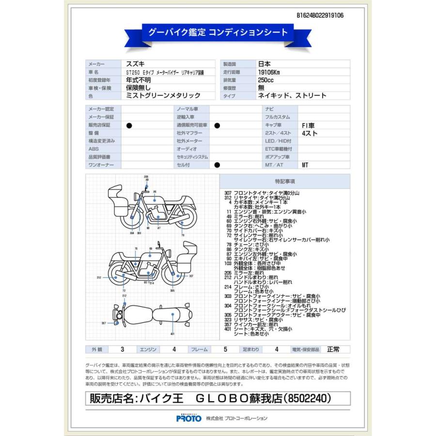 ＳＴ２５０　Ｅタイプ　メーターバイザー　リアキャリア装備｜bikeo-ds-shopping｜11