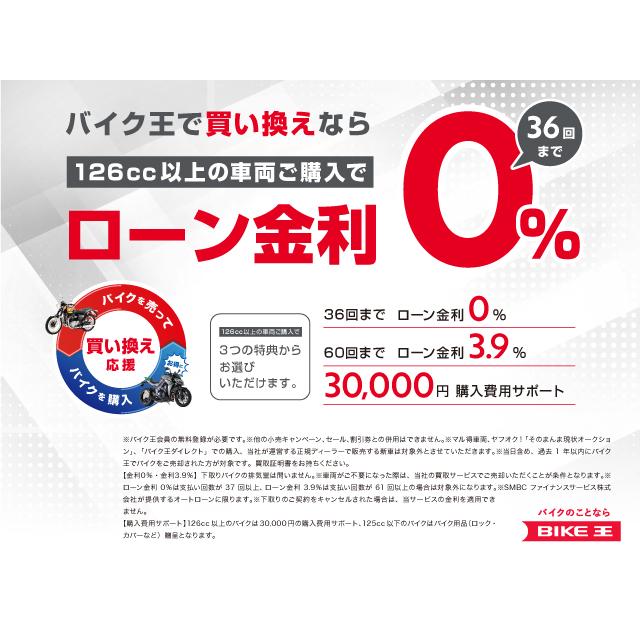 Speed Twin 900 2023年モデル/エンジンガード付きノーマル車両 Speed Twin 900 2023年モデル/エンジンガード付きノーマル車両