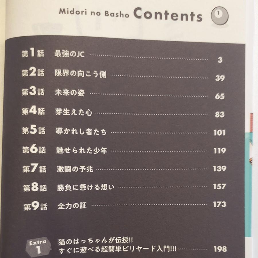 ビリヤード雑誌コレクション 1990〜95年 ビリヤード雑誌コレクション 1990〜95年 ビリヤード雑誌