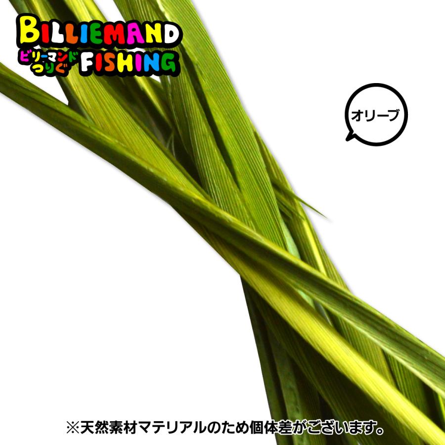 グースバイオット｜billiemand｜15