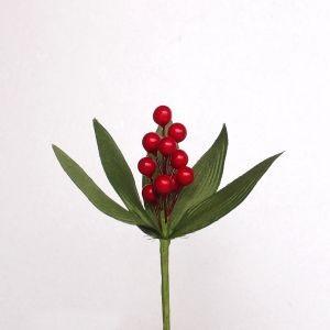 YO-08 万年青 赤｜billioflower