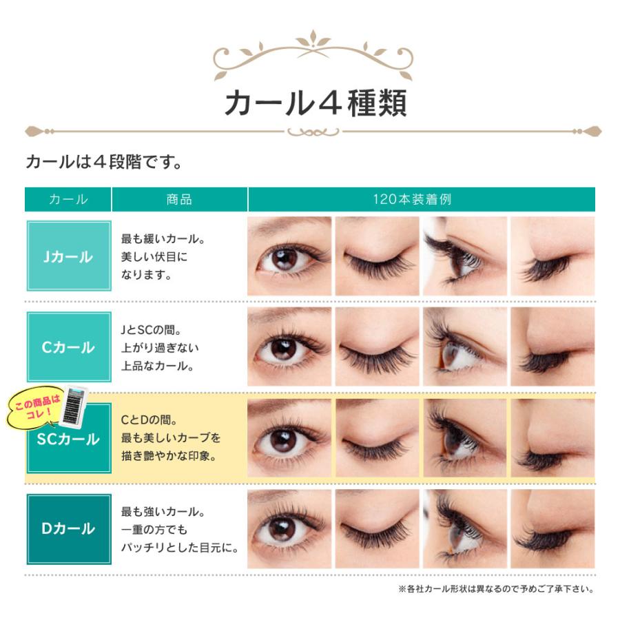 まつげエクステ プレミアムセーブル12列 Jカール 太さ 0 1 0 15 0 2mm 長さ 6 15mm まつ毛 ネコポス便対応 6個まで同梱可 Eps12n101 まつエクプロ用商材ビジュビュー 通販 Yahoo ショッピング