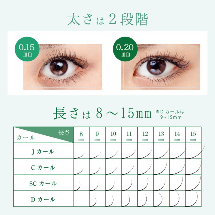 マツエク フィットラッシュセーブル12列 Cカール (太さ:0.15/0.2mm 