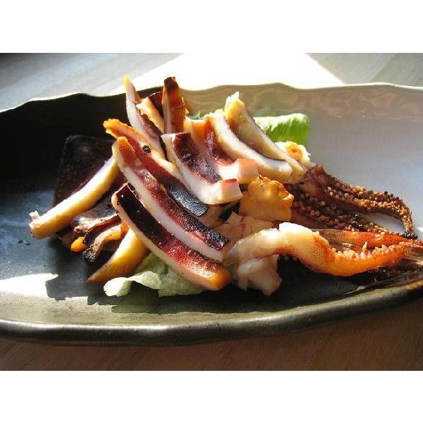 能登半島小木港産の いか イカ のフリーチョイス 刺身 鉄砲焼き 一夜干し Ogi 美味逸品 通販 Yahoo ショッピング