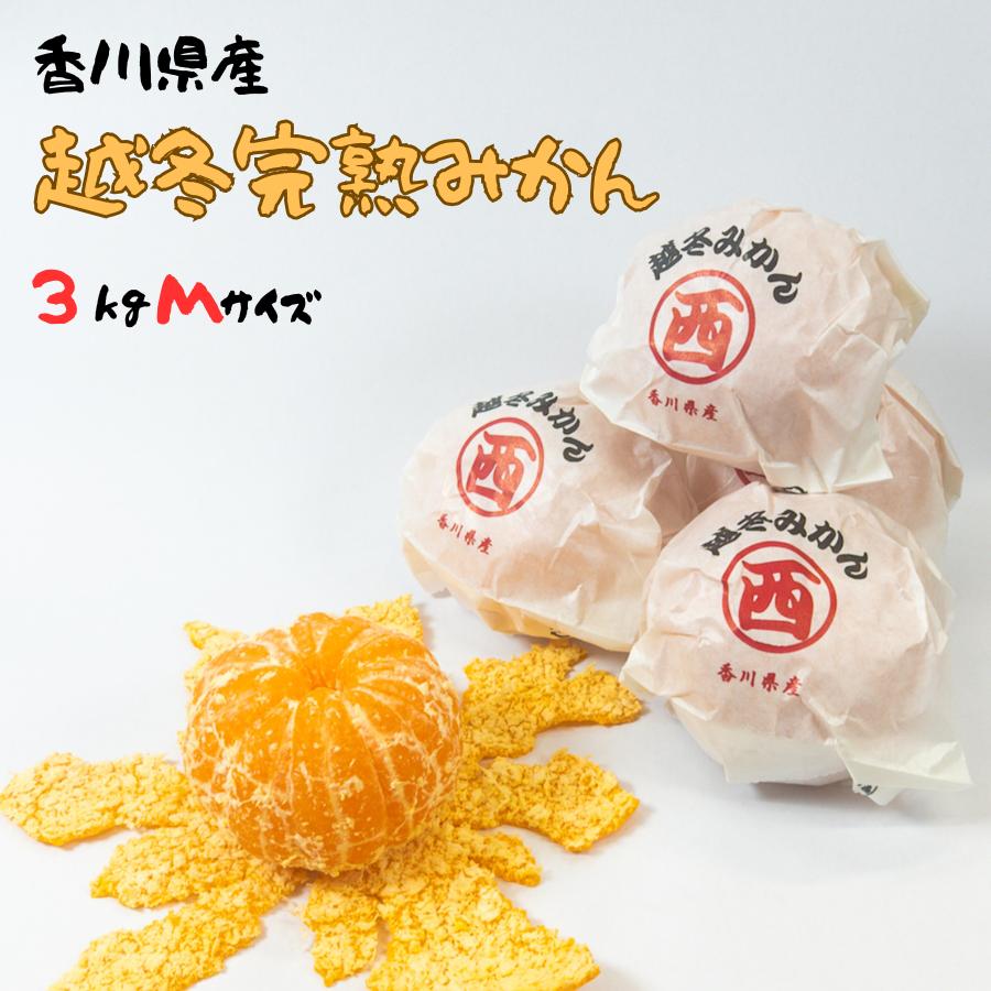 越冬完熟みかん 約3kg Mサイズ30個入り 香川県産 : 美味旬果