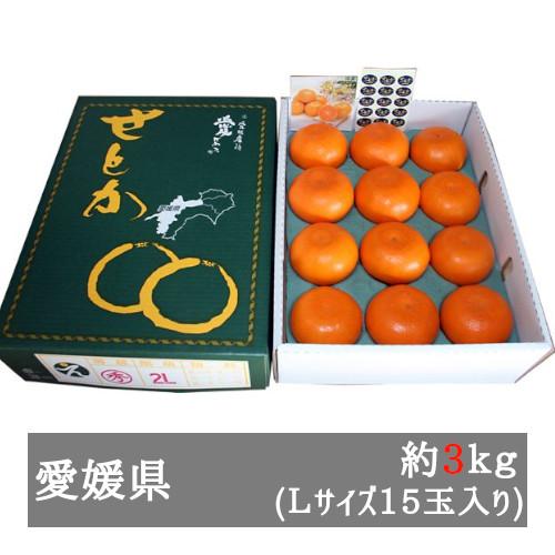 ハウスせとか 秀品 約3kg Lサイズ15玉入り 愛媛県産 ハウスせとか 秀品 約3kg Lサイズ15玉入り 愛媛県産