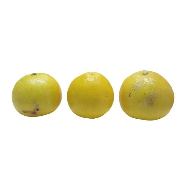 訳あり 家庭用】土佐文旦 大玉 10kg（L以上）規格外 高知県産｜1月下旬