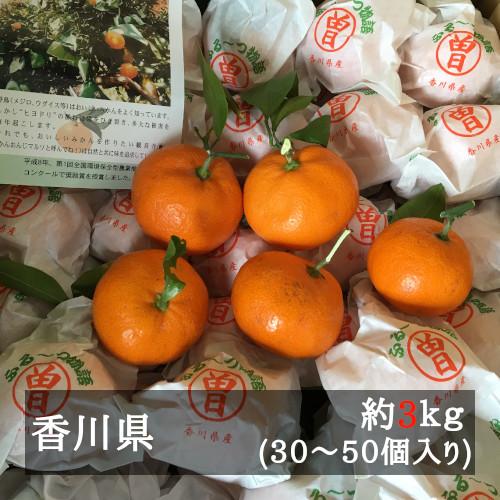 越冬完熟袋掛けみかん ふるーつ物語 約３ｋｇ 約３０ ５０個 香川県産 F 美味旬果 通販 Yahoo ショッピング