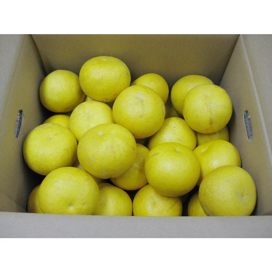 訳あり 土佐文旦 M・Sサイズ混合 約10kg 高知県産 | 文旦 家庭用 訳あり 土佐文旦 M・Sサイズ混合 約10kg 高知県産 | 文旦 家庭用