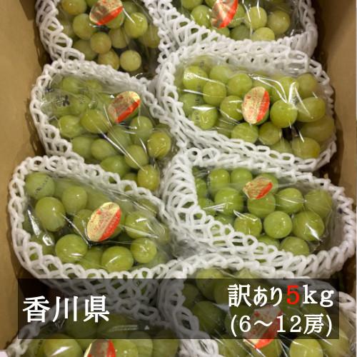 訳あり シャインマスカット 5kg 6房-12房 香川県産 家庭用 訳あり シャインマスカット 5kg 6房-12房 香川県産 家庭用