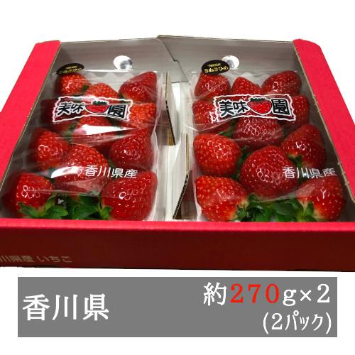 美味いちご園 さぬきひめ 大粒 約270g×2 パック 香川県産 美味いちご園 さぬきひめ 大粒 約270g×2 パック 香川県産