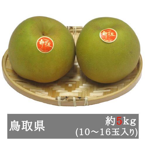 新甘泉（しんかんせん） 秀品 約５ｋｇ（１０-１６玉入り） 鳥取県産｜bimi-shunka