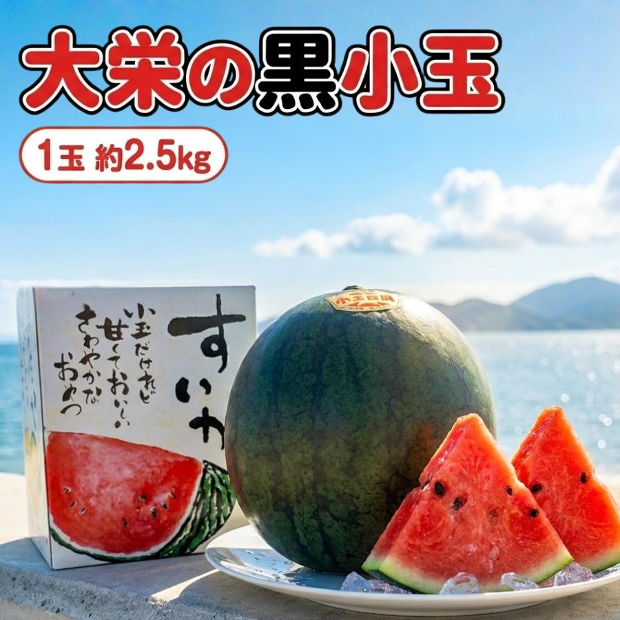 すいか 小玉すいか 大栄 黒小玉すいか 鳥取県産 秀品 1玉 約2.5kg 化粧箱入り スイカ 西瓜 フルーツ 果物 ギフト 残暑見舞い 【予約】 8月末より順次発送