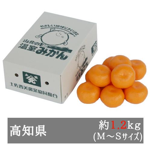 超安い品質 山北ハウスみかん 約１ ２ｋｇ ｍ ｓサイズ１２ １５個入 高知県産