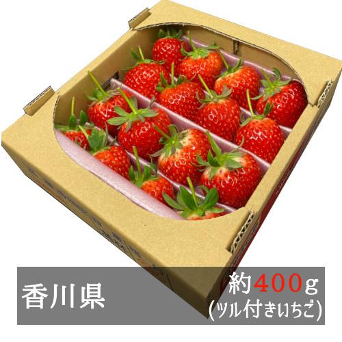 ツル付きさぬきひめいちご 約400g 香川県産 : 美味旬果 ツル付きさぬきひめいちご 約400g 香川県産 : 美味旬果
