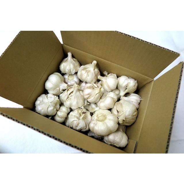 訳あり 乾燥にんにく A品 約10kg 香川県産 国産 にんにく 保存食 家庭 