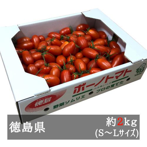 最大79 オフ ボーノトマト 約２ｋｇ ｓ ｌサイズ 徳島県産 Wantannas Go Id