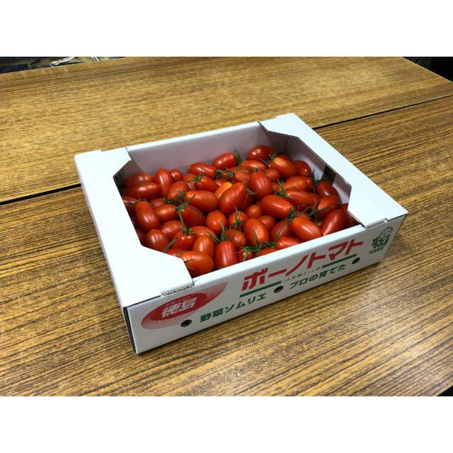 最大79 オフ ボーノトマト 約２ｋｇ ｓ ｌサイズ 徳島県産 Wantannas Go Id