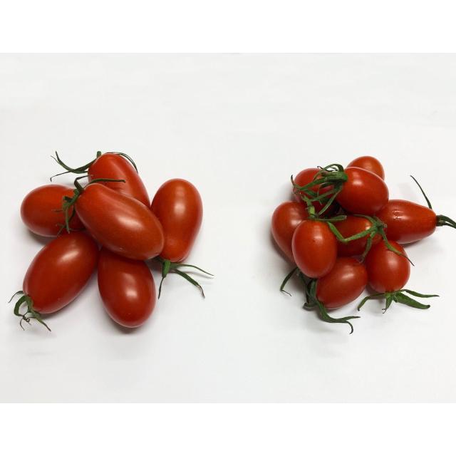 最大79 オフ ボーノトマト 約２ｋｇ ｓ ｌサイズ 徳島県産 Wantannas Go Id