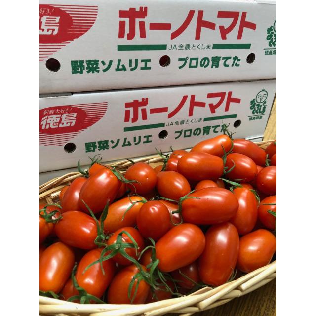 最大79 オフ ボーノトマト 約２ｋｇ ｓ ｌサイズ 徳島県産 Wantannas Go Id