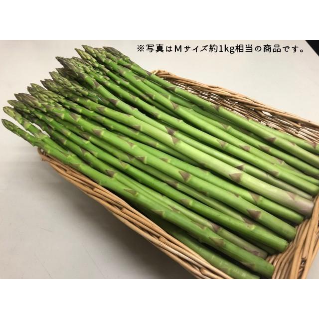 最大85 オフ 香川県オリジナルアスパラガス カトちゃん農園のさぬきのめざめセミロング夏芽 約１ｋｇ入り Rmladv Com Br