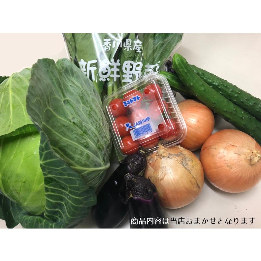 旬の新鮮野菜おまかせセット おまかせ１５品目 国内産｜bimi-shunka｜03