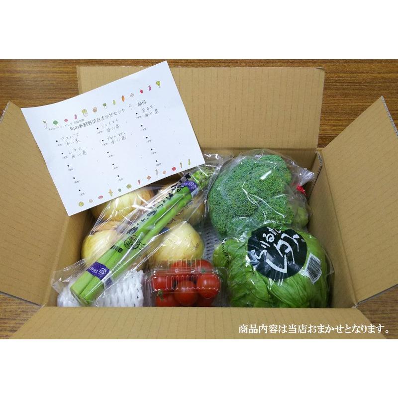 旬の新鮮野菜おまかせセット おまかせ１５品目 国内産｜bimi-shunka｜05