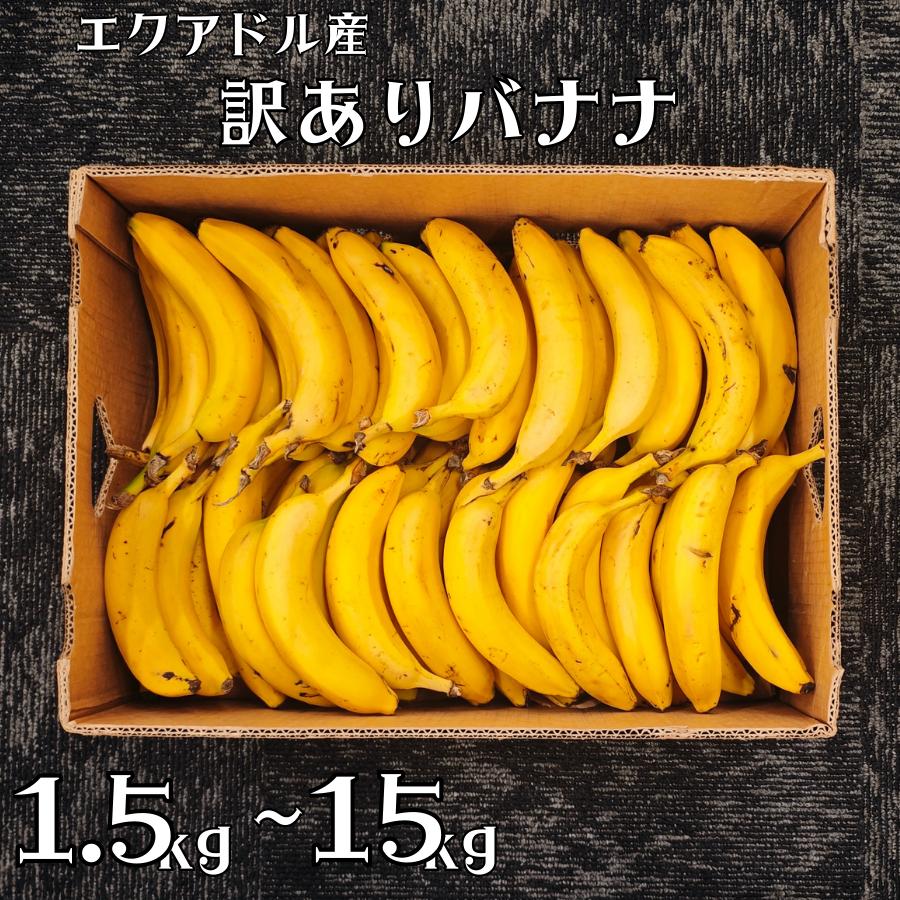 訳あり バナナ エクアドル産 送料無料 1.5kg 3kg 5kg 10kg 15kg 業務用 大容量 濃厚 甘い 規格外 家庭用 お試し 追熟 徳田青果 フードロス削減 訳有 ばなな（Yahoo!・美味旬果）