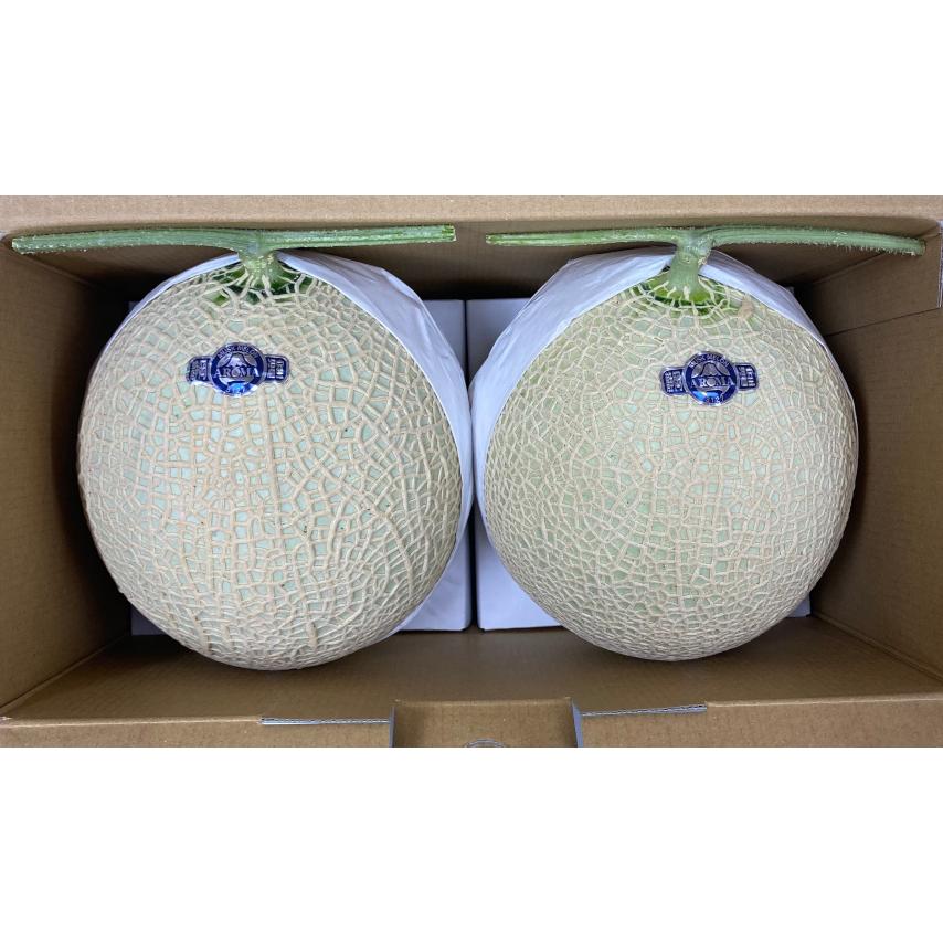 今週の安い曜市 果物の王様 高級マスクメロン ２玉入り 静岡県産 Wd 美味旬果 通販 Yahoo ショッピング