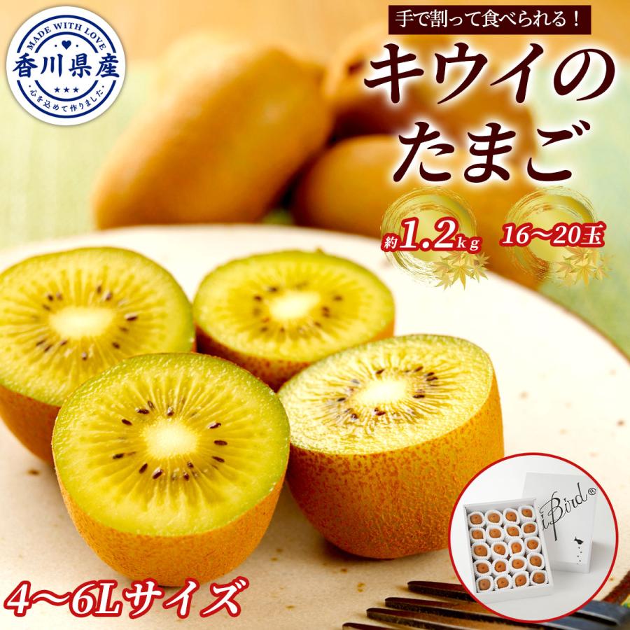香川県産 キウイのたまご さぬきキウイっこ 約1.2kg（16〜20玉）ギフト