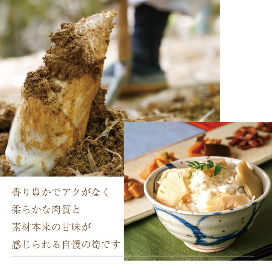 京たけのこ水煮と京の春筍・うま煮セット 京都西山丘陵から産地直送