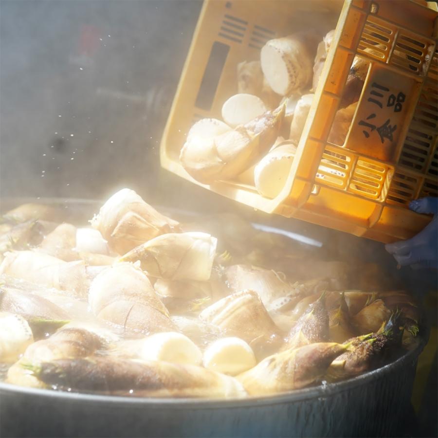 京たけのこ水煮と京の春筍・うま煮セット 京都西山丘陵から産地直送