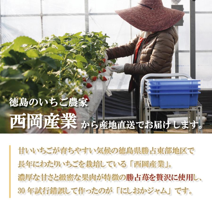 苺農家が作った にしおかジャムいちご130g×2個セット（無添加）徳島県の提携農園より産地直送｜bimiippin｜02