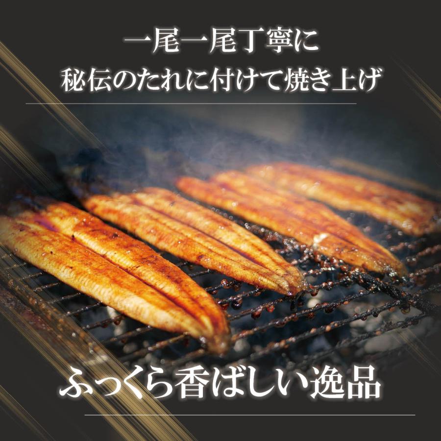 四万十うなぎ蒲焼きカット70g×5袋セット（タレ・味付け肝付き）高知県
