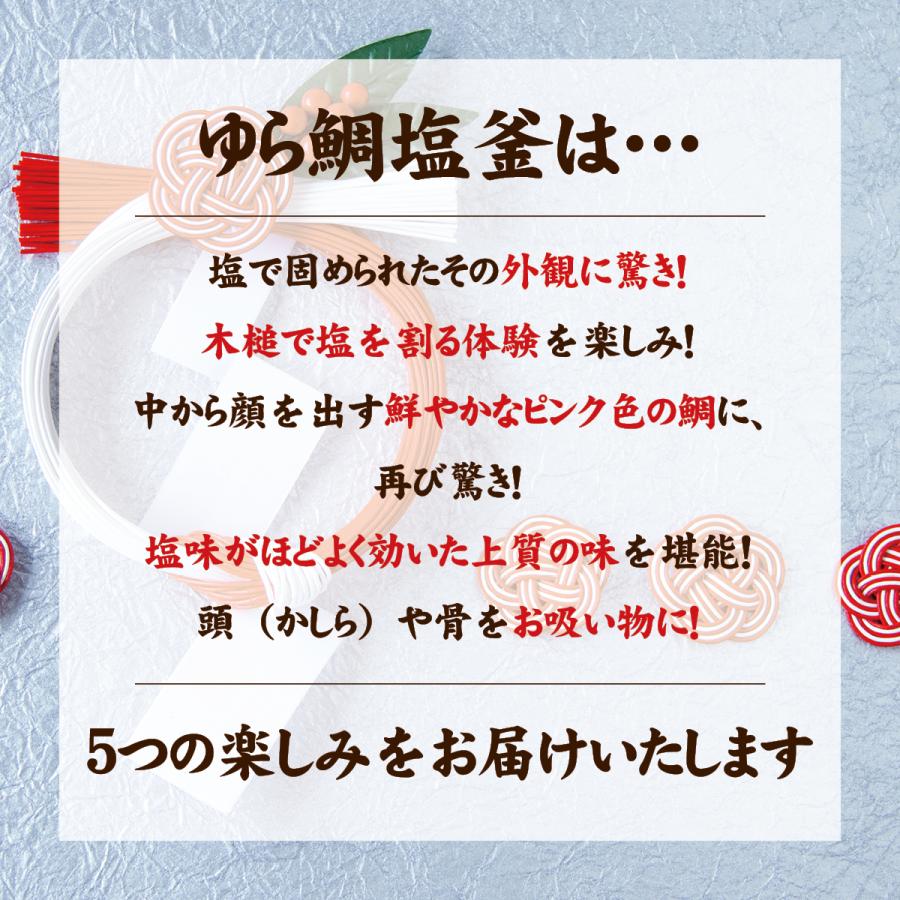 小野哲平 急須 中国茶シリーズ
