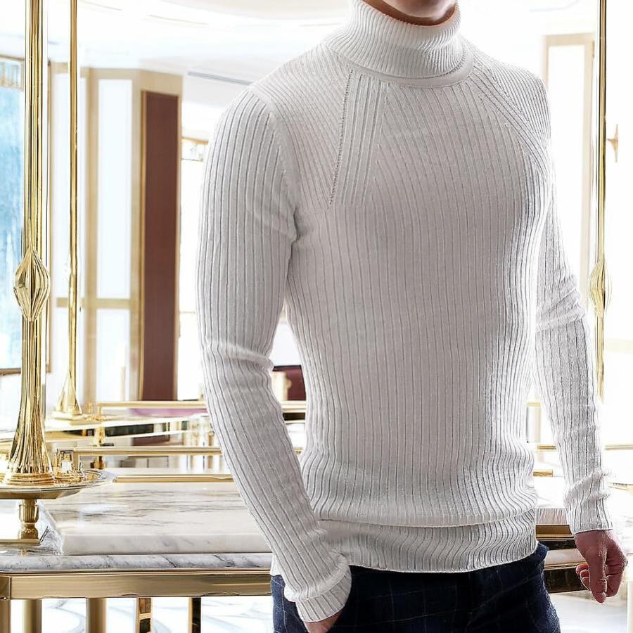 タートルネック ハイネック ニット セーター リブ編み/薄手/薄地