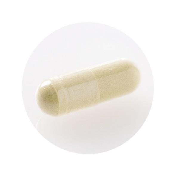 ☆ユーグレナのちから　480粒 120粒×4袋           ② 楽天市場】【お買い物マラソン限定クーポン有】【2袋セット