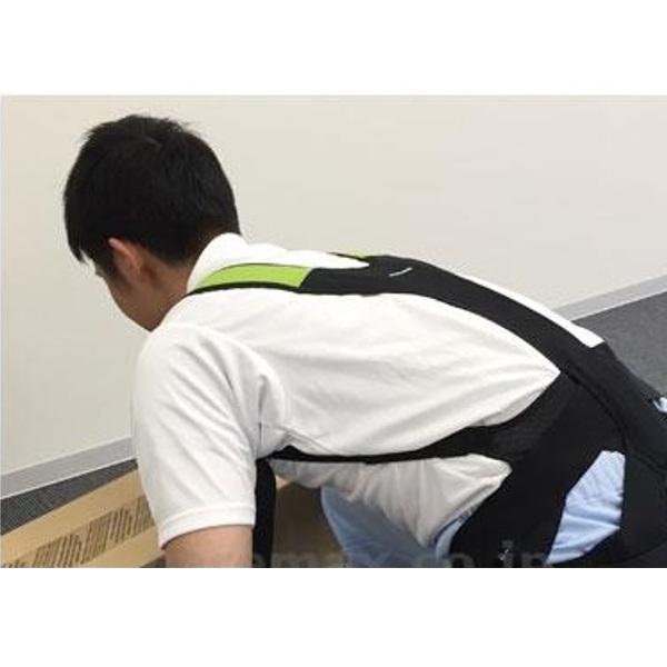 DAIYA（ダイヤ工業） DARWING SATT（ダーウィンサット） / 000-0942 L