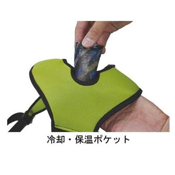 DAIYA（ダイヤ工業） DARWING SATT（ダーウィンサット） / 000-0942 L