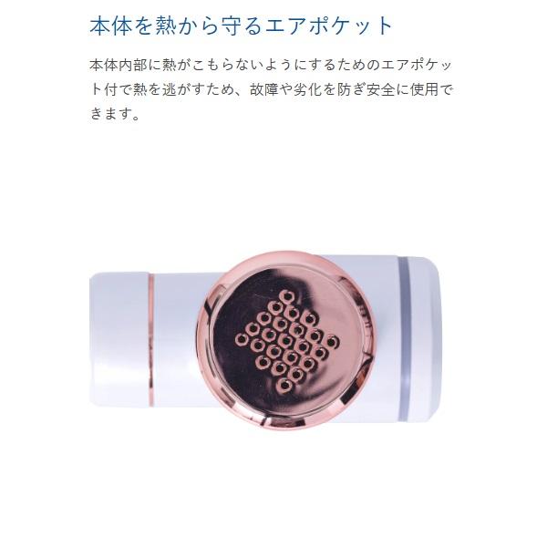 ALINCO（アルインコ） BODY SHAPE GUN（ボディシェイプガン
