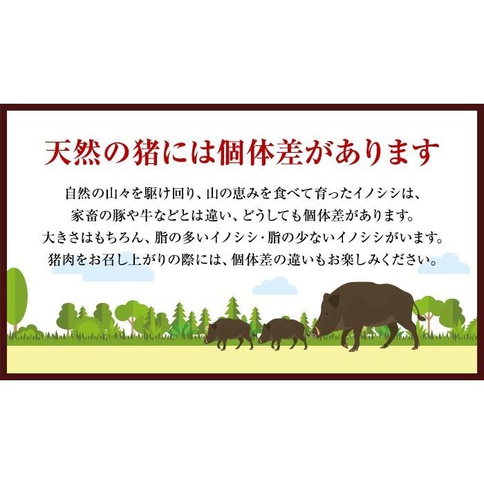 再再販! 猪肉 ジビエ 熟成 特上バラ肉 ブロック 2kg前後 広島県産 備後地方 いのしし肉 イノシシ肉 ぼたん鍋 牡丹鍋 ボタン鍋 お鍋 すき焼き しゃぶしゃぶ ステーキ 焼肉 再再販! 猪肉 ジビエ 熟成 特上バラ肉 ブロック 2kg前後 広島県産 備後地方 いのしし肉 イノシシ肉 ぼたん鍋 牡丹鍋 ボタン鍋 お鍋 すき焼き しゃぶしゃぶ ステーキ 焼肉