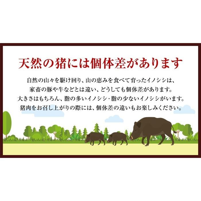 猪肉 ジビエ 熟成 焼肉用 3種盛り 500g ロースまたは肩ロース カルビ モモ 広島県産 備後地方 いのしし肉 イノシシ肉 焼き肉 ステーキ 最高級 ジビエ料理｜bingogibier｜11