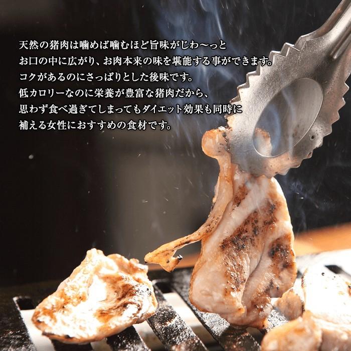 熟成 猪肉 焼肉用 特上シンタマ肉 スライス 500g 広島県産 備後地方 いのしし肉 イノシシ肉 焼き肉 ステーキ 最高級 ジビエ料理 お取り寄せ 人気 Boar Shintama Y 備後ジビエ製作所 通販 Yahoo ショッピング