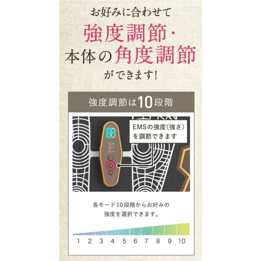正規販売店 1年保証付 保阪尚希プロデュース フットエナジープロ FE