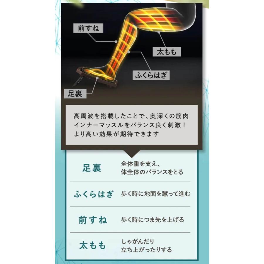 正規販売店 1年保証付 保阪尚希プロデュース フットエナジープロ FE