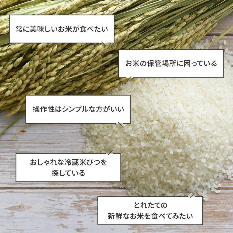 クーポン発行中 ライスフリッジ モダン 白米11kg 保冷 米びつ お米専用