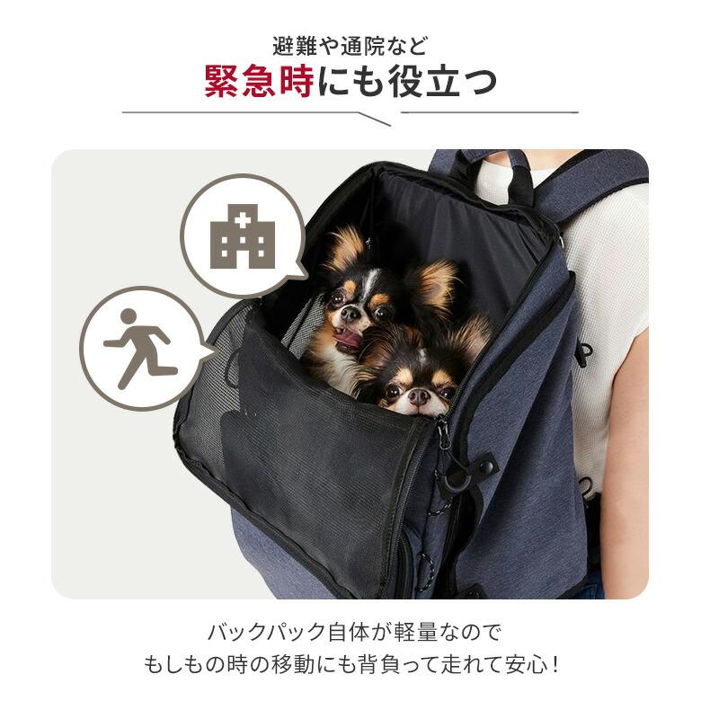 AIRBUGGY（エアバギー） AIRBUGGY 3WAY BACKPACK CARRIER レギュラー