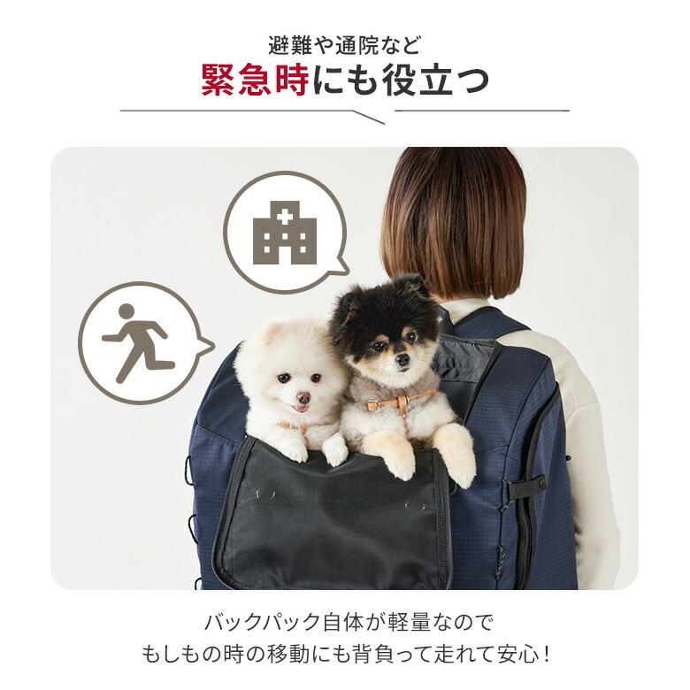 AIRBUGGY（エアバギー） AIRBUGGY 3WAY BACKPACK CARRIER ワイド